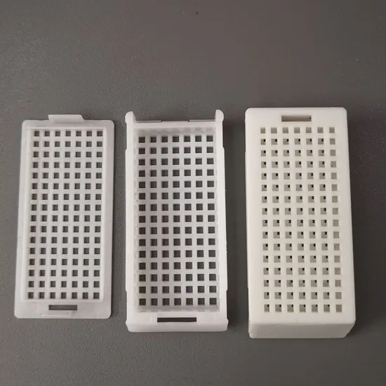 Be&aacute;gyazva kazetta k&oacute;rh&aacute;zi eszk&ouml;z laborat&oacute;riumi patol&oacute;gi&aacute;j&uacute; term&eacute;k be&aacute;gyaz&oacute; kazetta